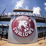 Inside Dobsonville Stadium: The Details Are Revealed For You