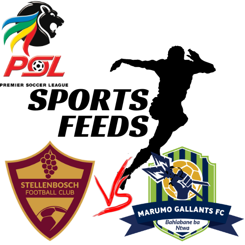 🔥 South African Premier League Showdown: Stellenbosch 🆚 Marumo Gallants – Live Score Updates! 📊